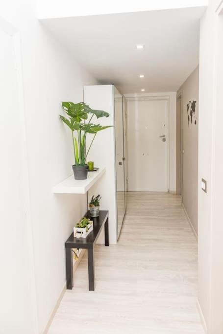 Raphi's Flat In Trastevere - The Heart Of Appartamento *